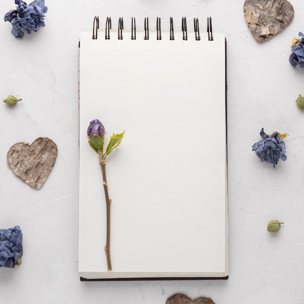 flat lay of beautiful valentine's day concept