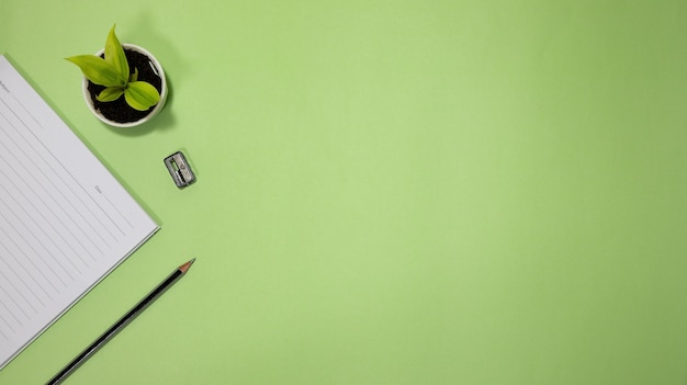 Flat lay black to school and education concept on green background  with blank notepad, pencil, green plant and supplies.