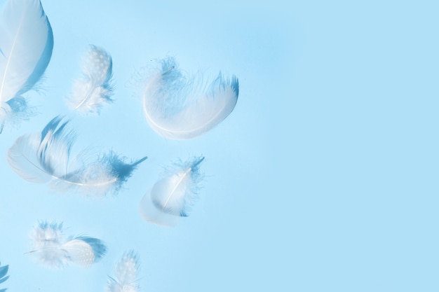 Flat lay border made of feathers. MInimal natural flat lay top view on blue background