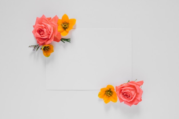 Flat lay bright creative frame of fresh flowers and leaves with white clean blank