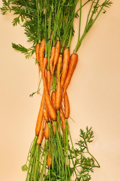 Flat lay bunch freshly picked carrots and carrot stalks