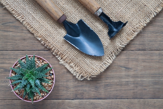 Flat lay cactus plant and garden tools on wooden table