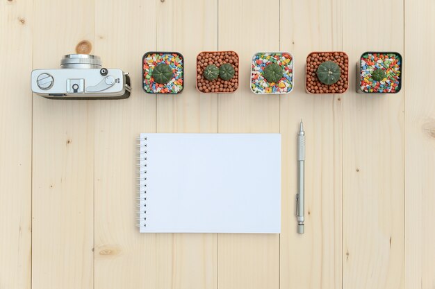 Flat lay of cactus plants with blank notebook