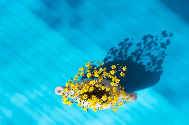 Flat lay composition from yellow flowers on blue background with shadows