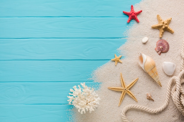 Photo flat lay composition sand and seashells