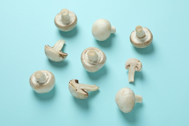 Flat lay composition with champignons on blue background