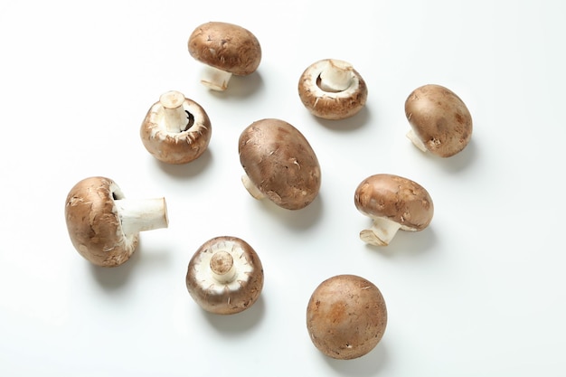 Flat lay composition with champignons on white background