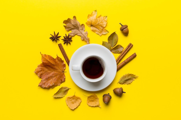 Flat lay composition with colorful Autumn cup of coffee and leaves on a color background top view