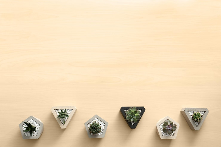 Photo 텍스트에 대 한 나무 배경 공간에 다른 succulents와 평면 배치 구성