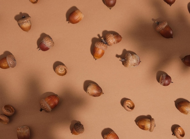 Плоская композиция с множеством коричневых желудей на столе Тень листьев падает на поверхность Красота осеннего разнообразия