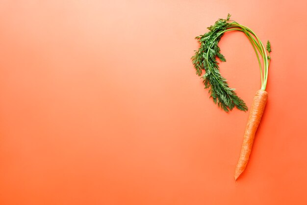 Flat lay composition with ripe fresh carrot