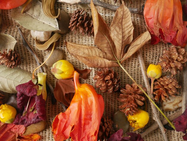 写真 フラット・レイ・コピー・スペース (flat lay space autumn fall concept) は手作りの自然な織物に隔離された秋のコンセプトです