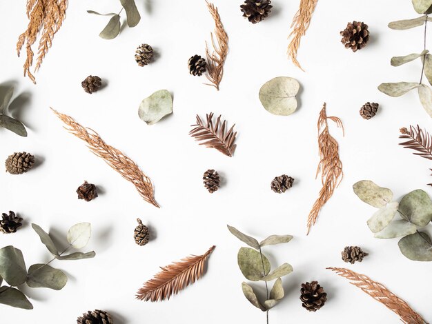 Flat lay creative natural background of winter dry plants parts