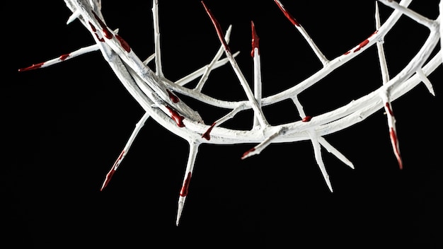 Photo flat lay crown of thorns with dark background