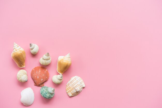 Flat lay design of travel concept with shells