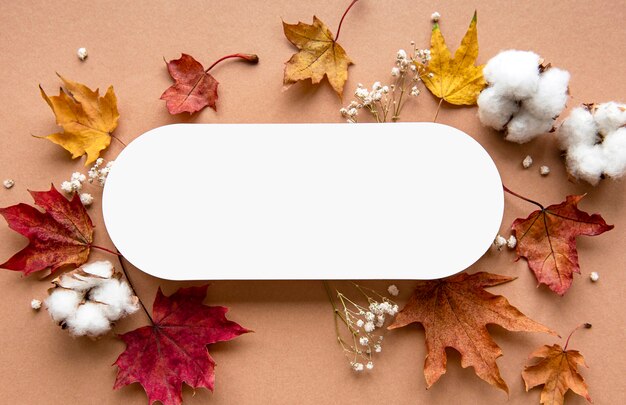 Flat lay of dried leaves and blank banner on beige