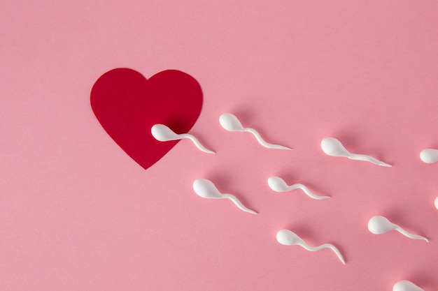 Concetto di fertilità piatto laico con spermatozoi