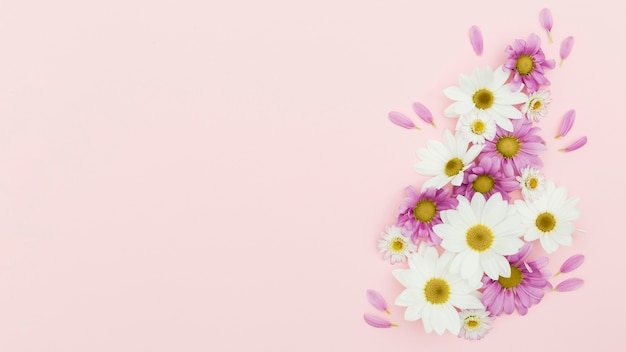 Photo flat lay floral frame on pink background