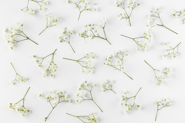 Foto collezione di fiori piatti sul tavolo