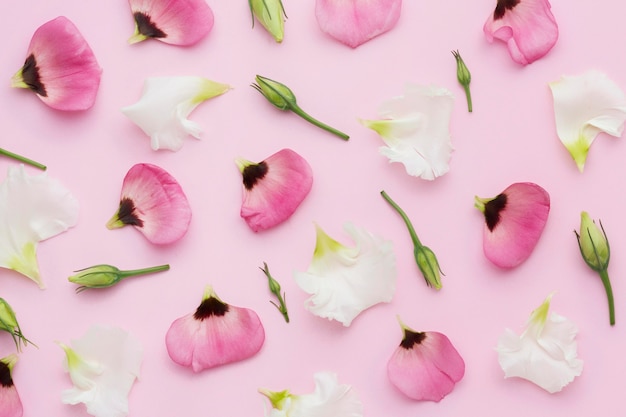 Photo flat lay flowers petals