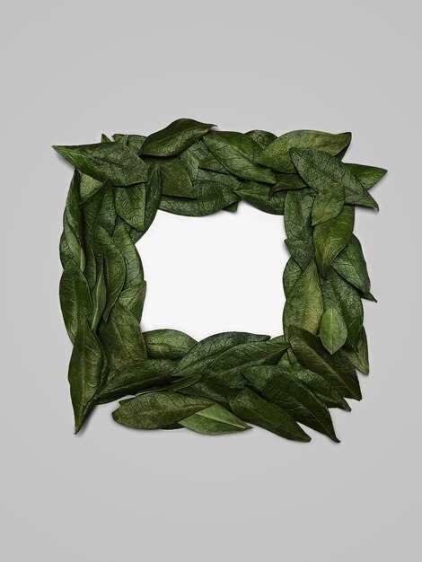 Flat lay of frame with green natural leaves.