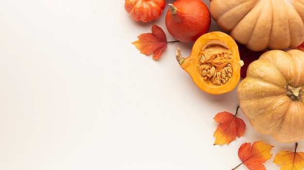 Photo flat lay frame with pumpkins and white background