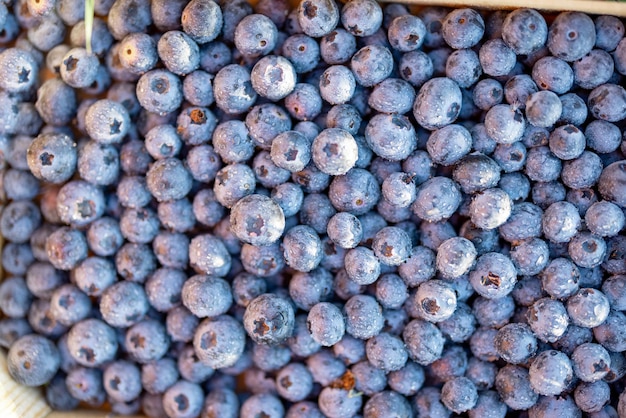 Flat lay of fresh blueberries