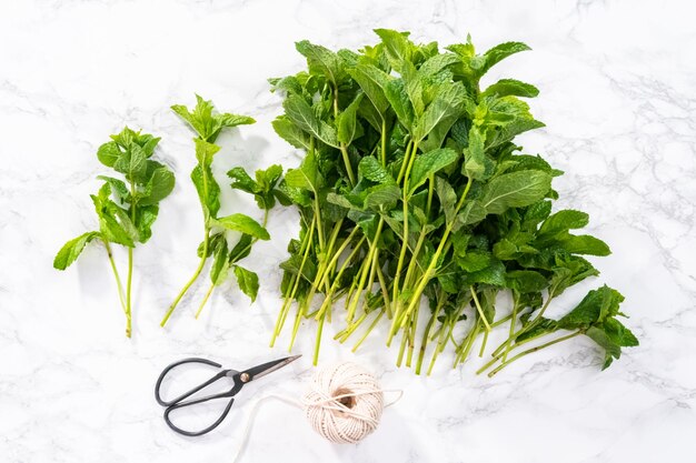 Disposizione piatta. menta fresca dell'orto biologico su fondo marmoreo.