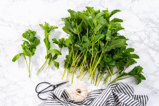 Foto disposizione piatta. menta fresca dell'orto biologico su fondo marmoreo.