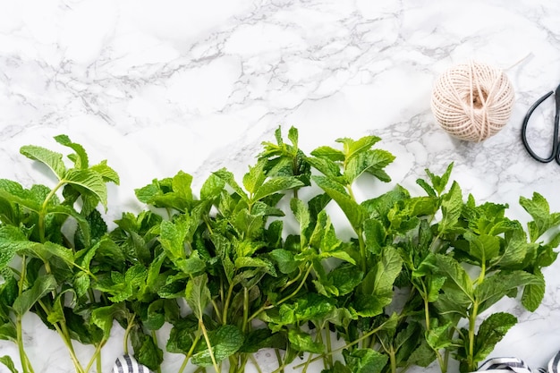 Flat lay. Fresh mint from the organic garden on a marble background.