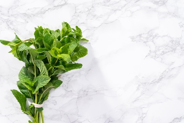 Flat lay. Fresh mint from the organic garden on a marble background.