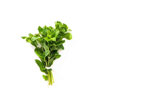 Flat lay. Fresh mint from the organic garden on a white background.