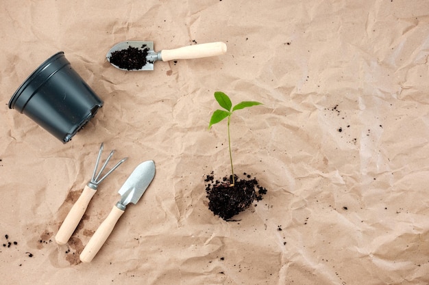 Flat lay of gardening set black plastic flowerpots and seedlings on the craft paper background