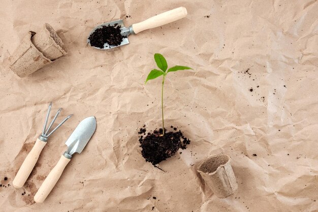 Flat lay of gardening set black plastic flowerpots and seedlings on the craft paper background