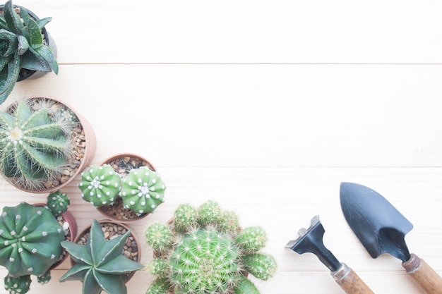 Flat lay gardening table 