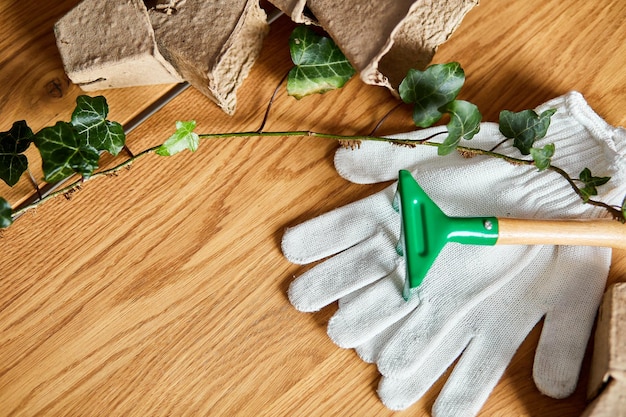 Photo flat lay of gardening tools, eco flowerpot, greens on wooden background, spring garden works concept, layout with free text space from above.