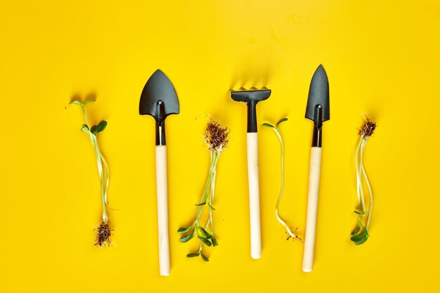 Flat lay gardening tools and greens on yellow background