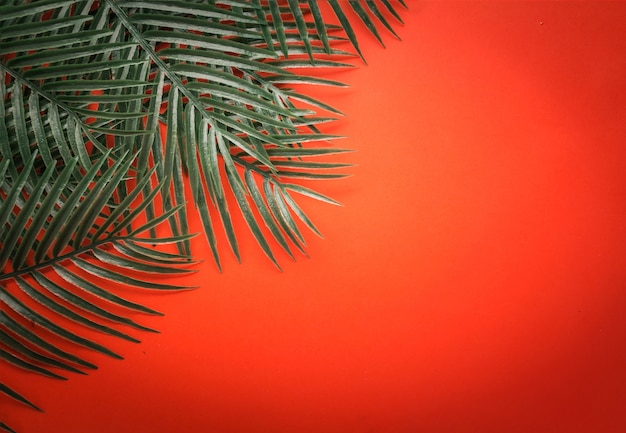 flat lay of green tropical leaf frame on clor background with free copy space