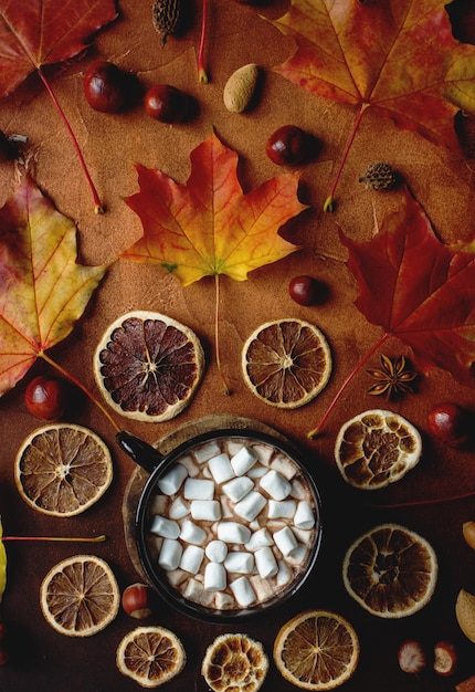 Flat lay of homemade cocoa with marshmallows spices autumn leaves and chestnuts cozy autumn still life autumn mood concept hugge lifestyle top view selective focus