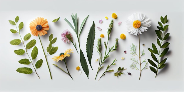 フラット レイアウト イラスト ヒマワリの新鮮なフィールドの概念孤立した白地に春の花美しい花の装飾的な要素セットのコレクション生成 AI