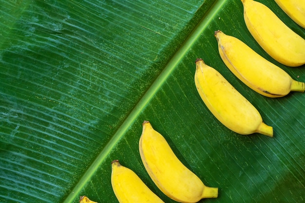 Flat lay layout of yellow bananas on a green banana leaf. Eco food