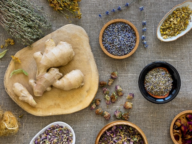 Flat lay of medicinal herbs and spices