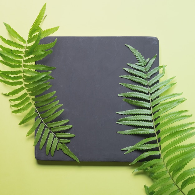 Flat lay of minimal workspace desk with notebook and green plant