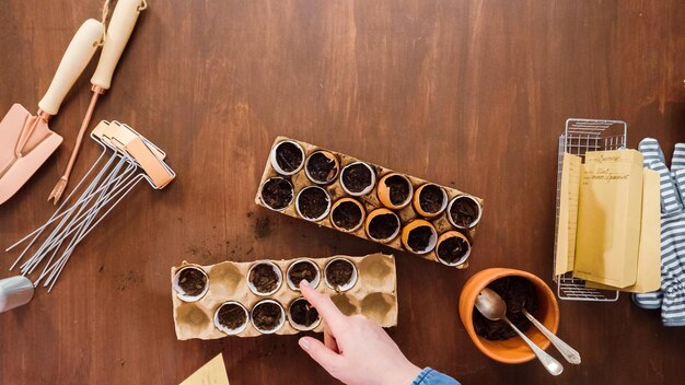 Flat lay. Mother and daughter starting seeds in eggshells for Spring planting.