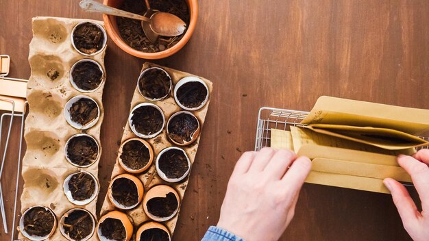 Flat lay. Mother and daughter starting seeds in eggshells for Spring planting.