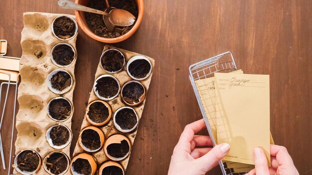 Flat lay. Mother and daughter starting seeds in eggshells for Spring planting.