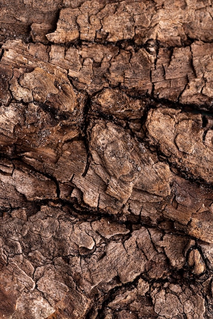 Flat lay natural wooden texture