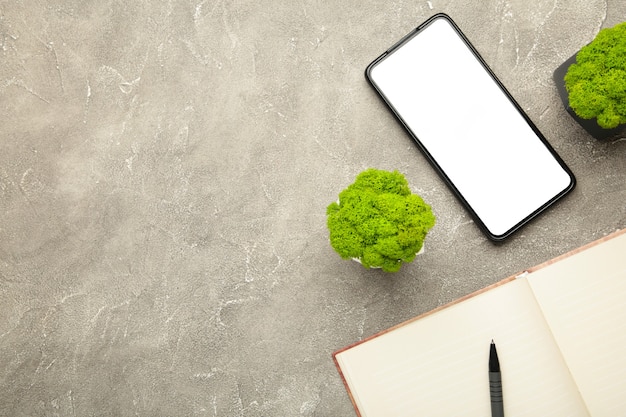 Flat lay on notebook with smartphone and plant