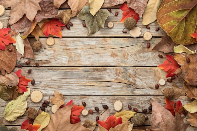 写真 コピースペースのある紅葉フレームのフラットレイ