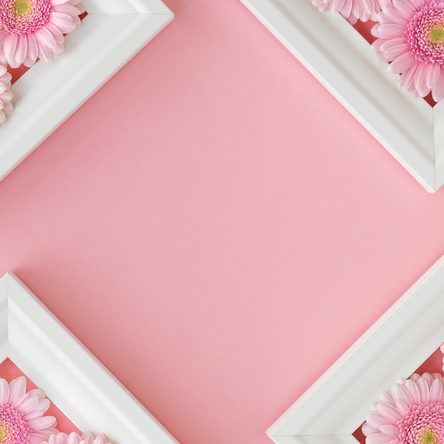 写真 ピンクの花ガーベラと白いフレームのフラットレイアウト